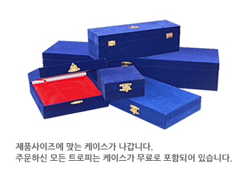 케이스사진